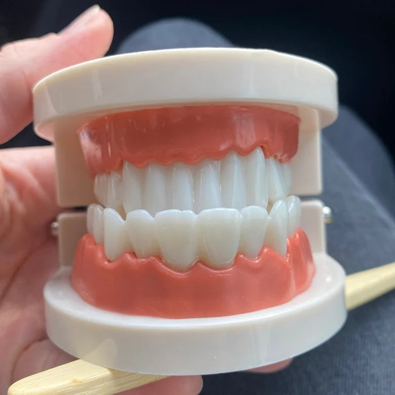 Tooth Brushing Teaching Aid