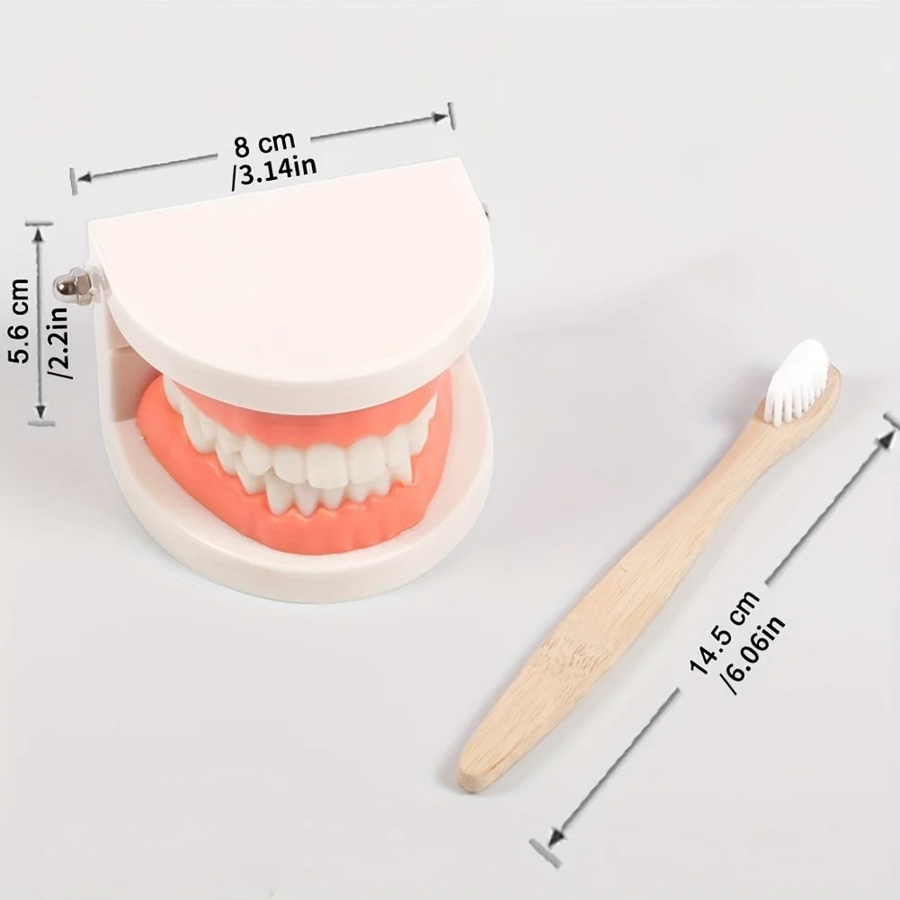 Tooth Brushing Teaching Aid