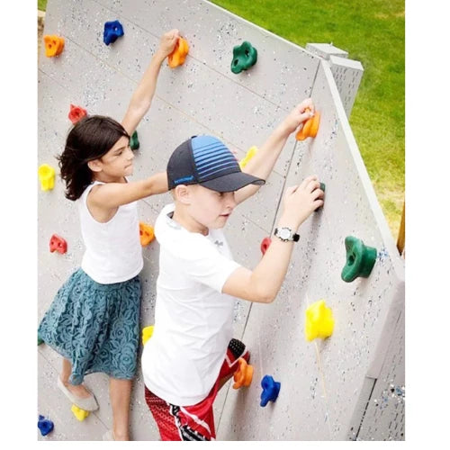 Rock Climbing Wall Holds