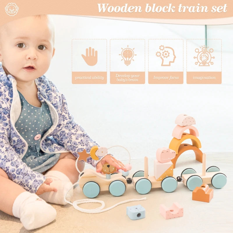 1PC Baby Wooden Montessori Educational Toys