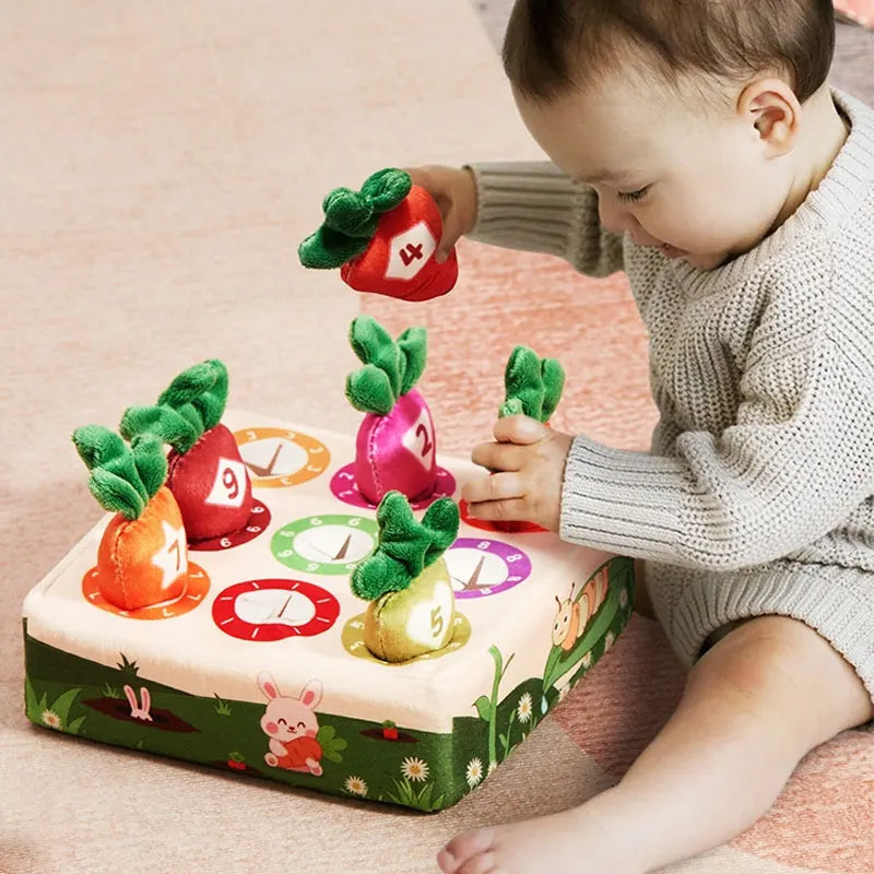 Baby Montessori  Developing Sensory Toys