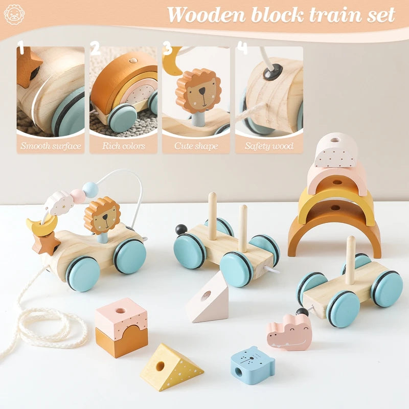 1PC Baby Wooden Montessori Educational Toys