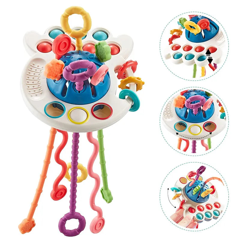 Baby Montessori  Developing Sensory Toys