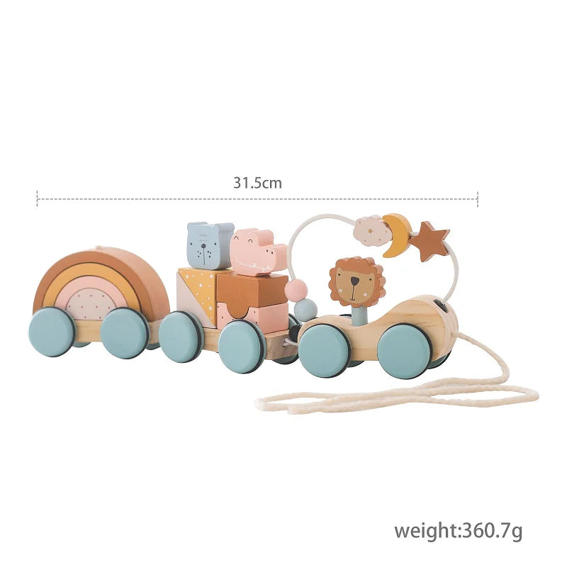 1PC Baby Wooden Montessori Educational Toys