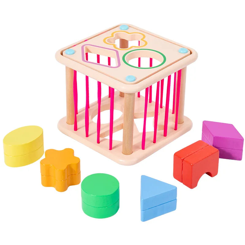 Baby Shape Sorter Montessori Sensory Activity Cube