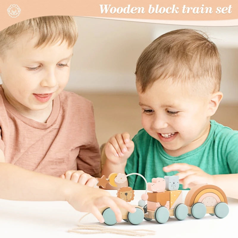 1PC Baby Wooden Montessori Educational Toys