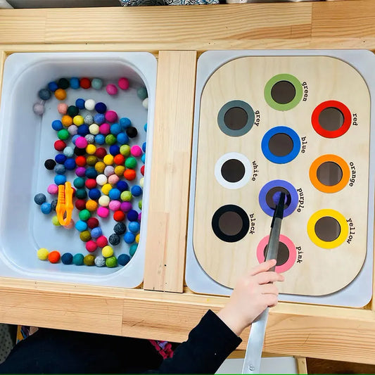 Montessori Colour Matching Sorter