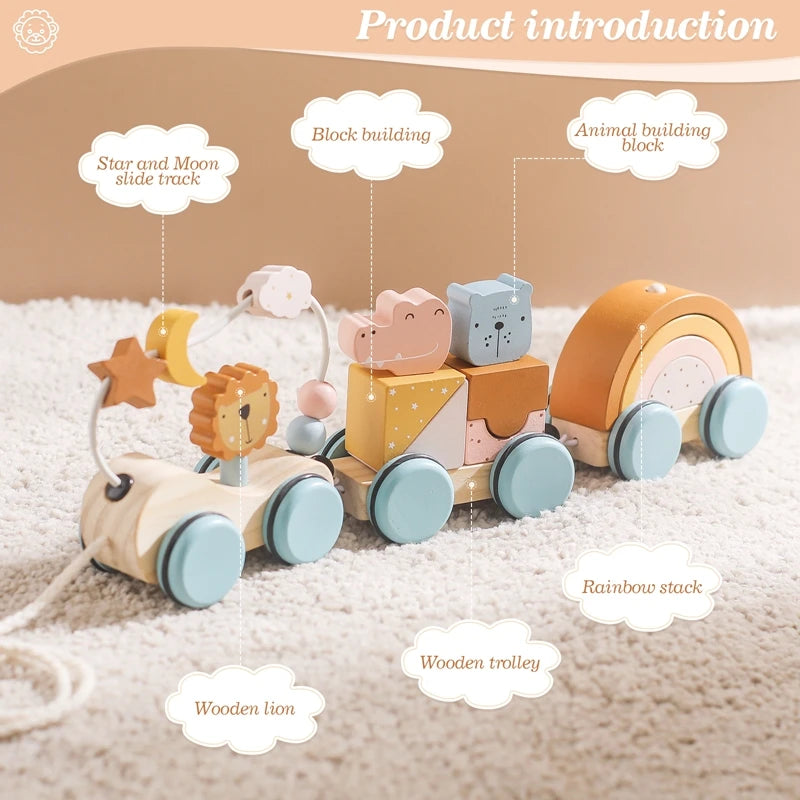 1PC Baby Wooden Montessori Educational Toys