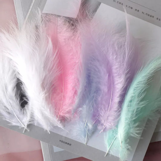 50pcs Natural Feathers 4-6 Inches 10-15cm